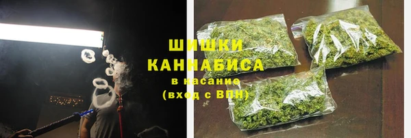 прущие грибы Алексин