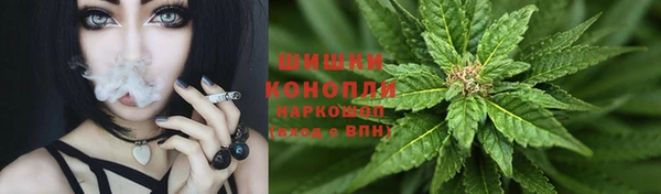 шишки Алексеевка