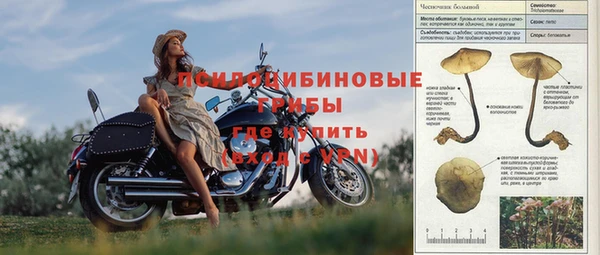 прущая мука Няндома